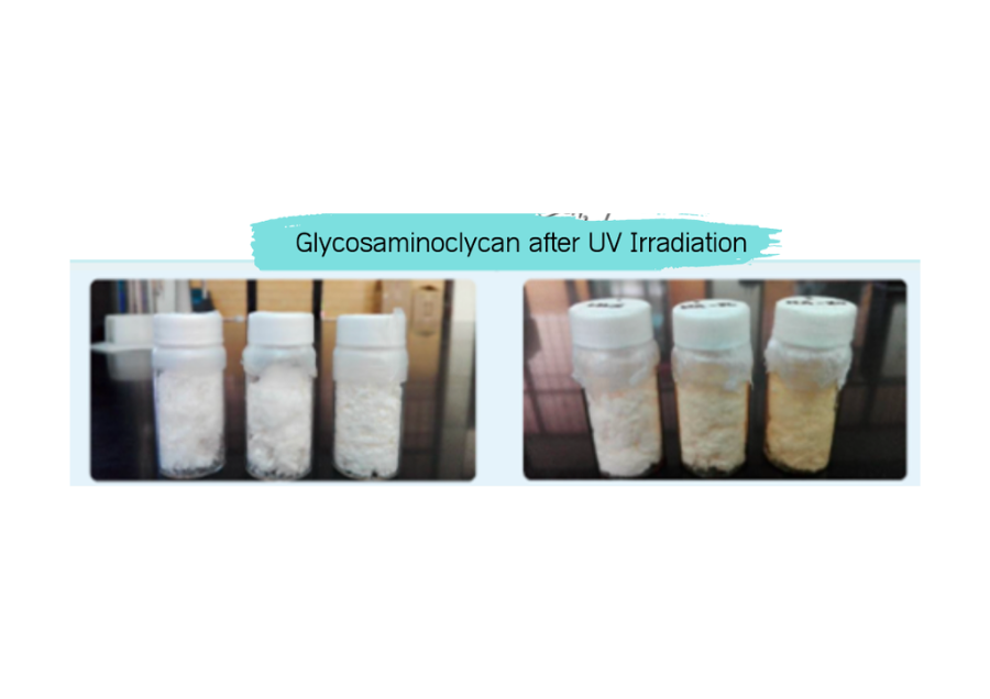 Glycosaminoglycans from heads of silver-banded whiting application in wound treatment, food and cosmetics