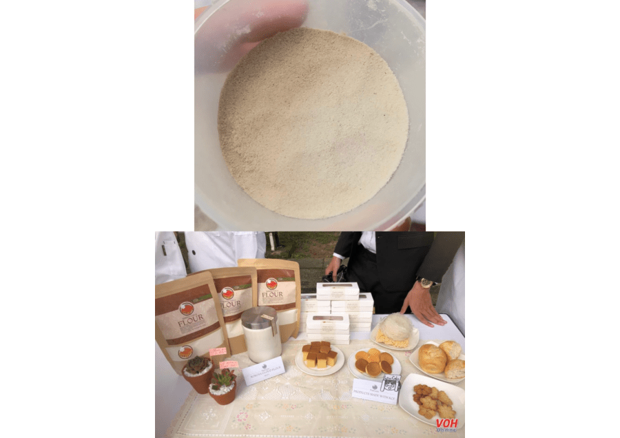 Utilizing Green Technology In The Production Of Bacterial Cellulose Flour