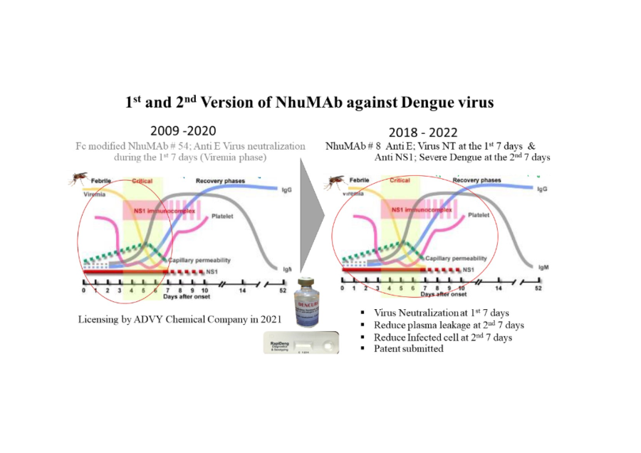 Therapeutic Antibody against Dengue virus