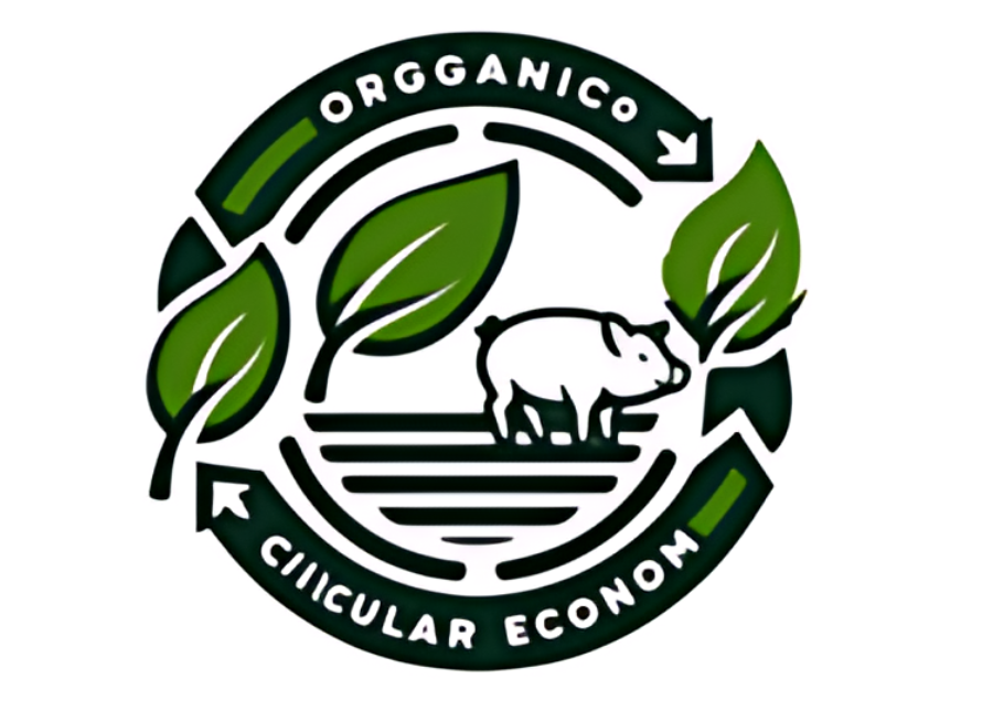 Hydrolysis of pig waste to produce organic foliar fertilizer to supply for plant growth
